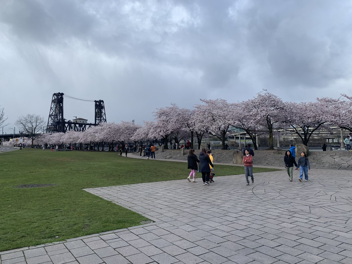 ZacNarrates's tweet photo. From this week's adventures in Portland! https://t.co/ywJ9CShcfd