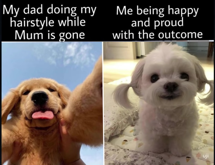 WholesomeMeme's tweet photo. https://t.co/VGEMgT0ZuG