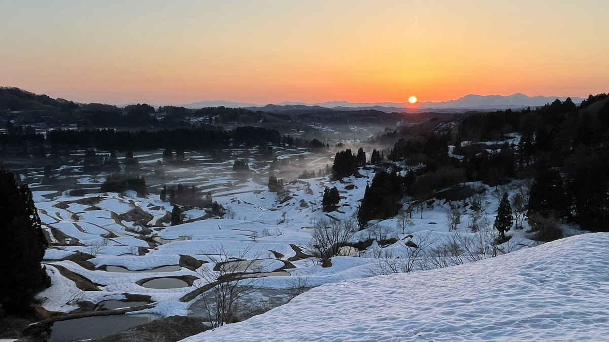 gimme_dat_supra's tweet image. 「星峠の棚田」
日の出と一緒に。
これを見るために25時に東京を出て、身体ボロボロにしてきましたが後悔は一切なし。最高でした。