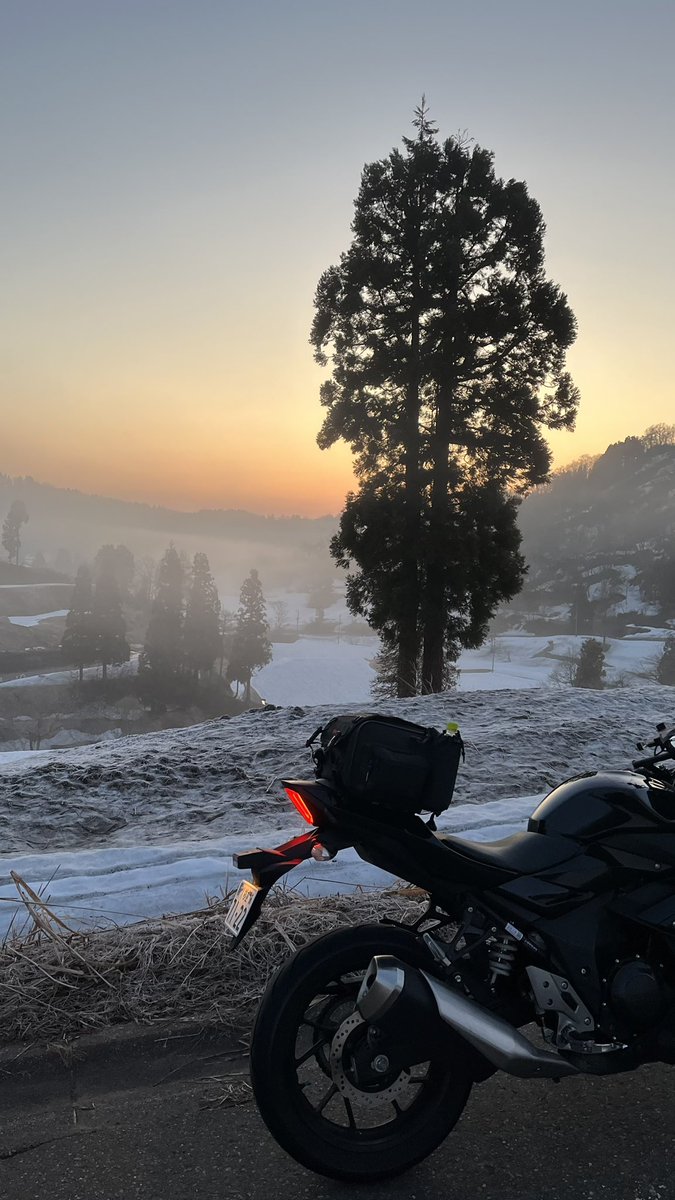 gimme_dat_supra's tweet image. 「星峠の棚田」
日の出と一緒に。
これを見るために25時に東京を出て、身体ボロボロにしてきましたが後悔は一切なし。最高でした。