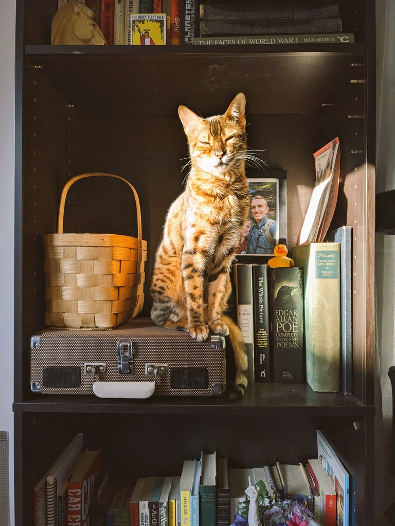 Zachary Veith tweet media