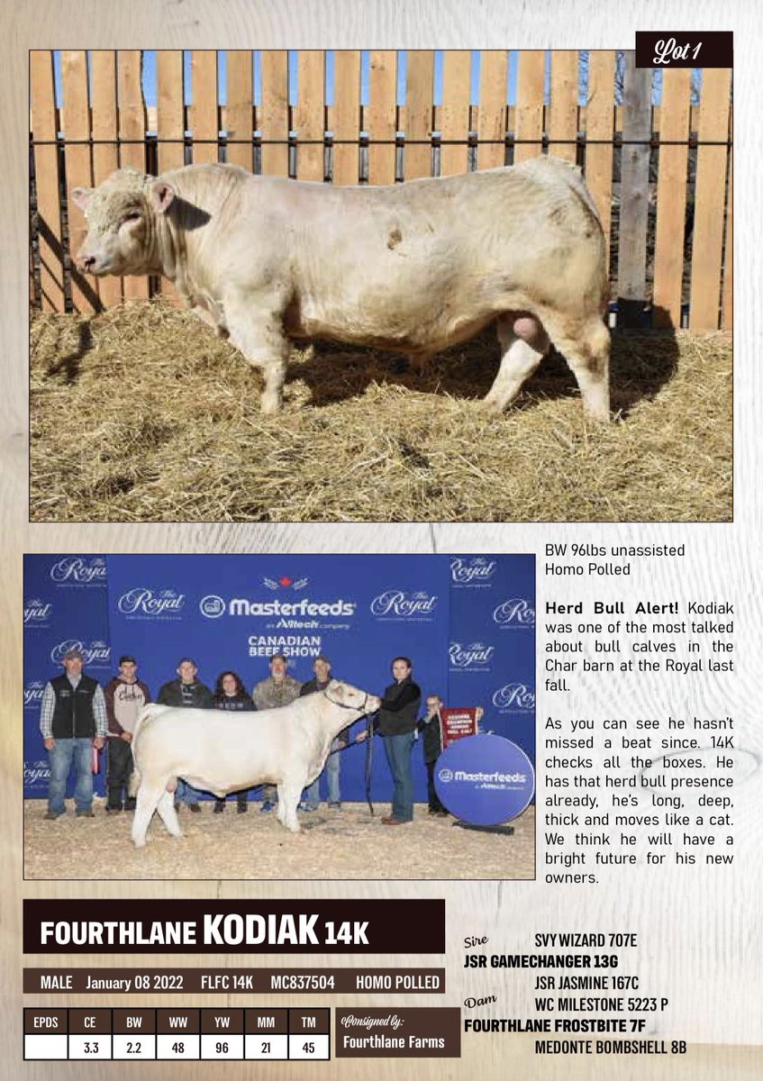 Scott Colton tweet media