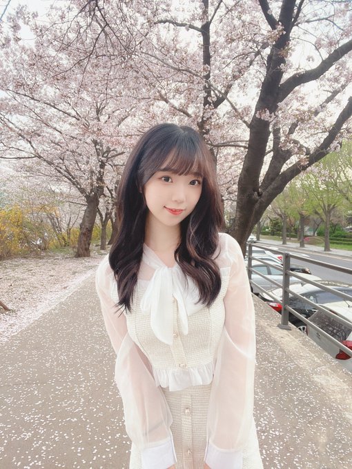 コスプレイヤーHattie（へティー）のTwitter画像36