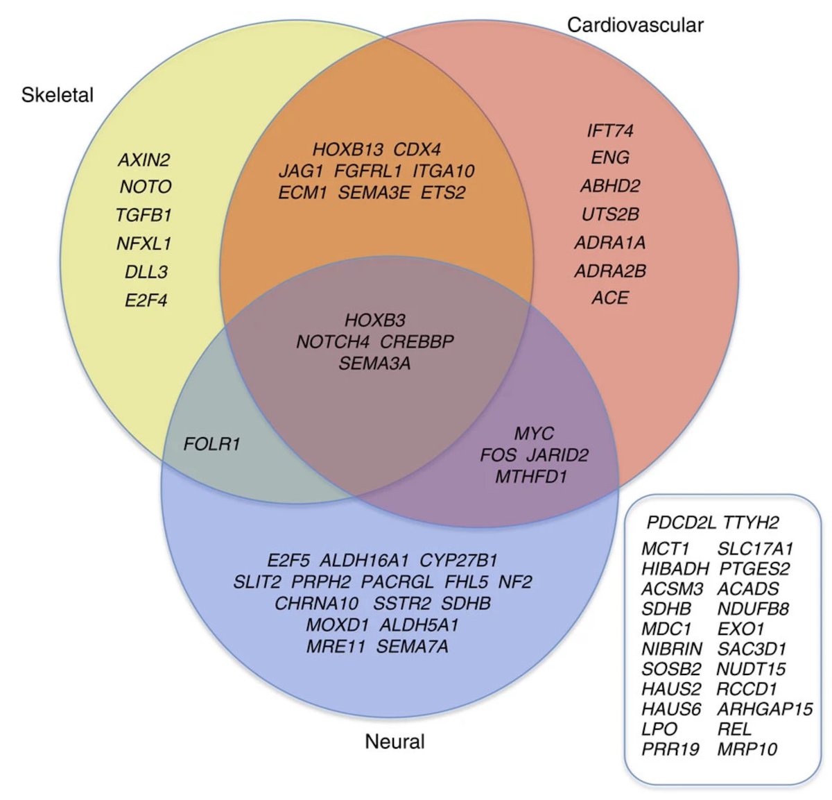 Okapi is nearly a giraffe, but not. How did giraffes get such long necks? Not by stretching for leaves (sorry, Lamarck) but maybe thru selection on changes in developmental genes. Giraffe FGFRL1 has 7 amino acid changes not seen in other mammals #2023MMM nature.com/articles/ncomm…