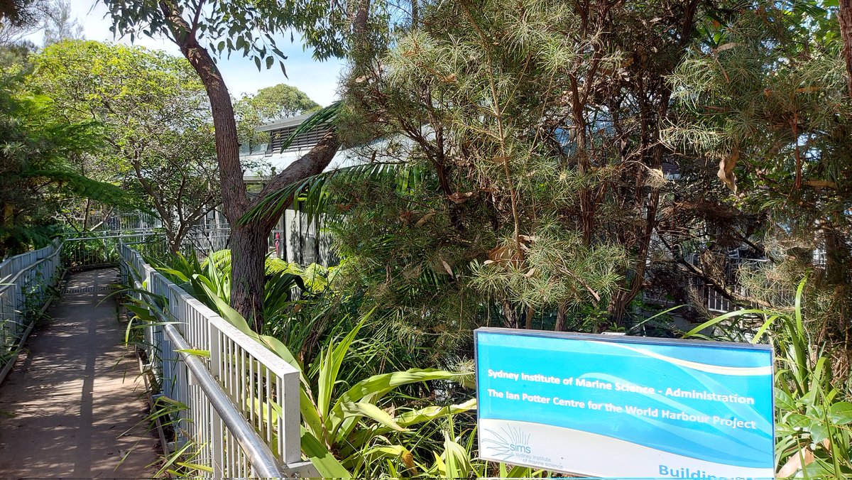 sydneyunigeo's tweet photo. Great day for a combined Honours-HDR day workshop at SIMS @SydneyMarine, led by Bill Pritchard @b_pritchard and fortunate to have Maria Seton @SetonMaria and Bruce Thom present on publishing and policy impact. https://t.co/c1IZc3tVkE