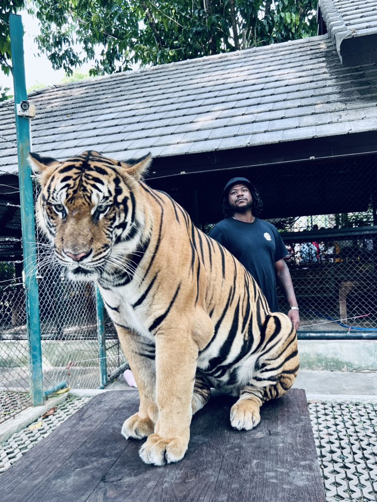 _mvstr's tweet photo. https://t.co/RL1S5BBVU4