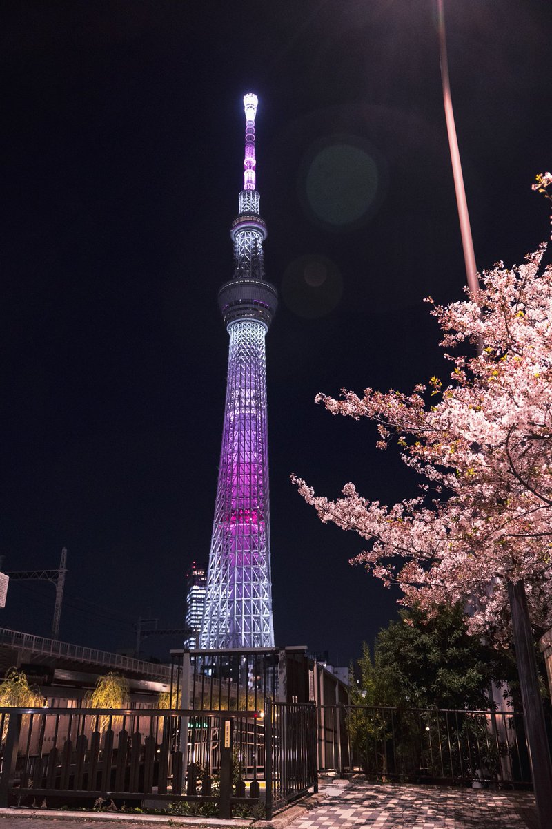 MichelTravels's tweet photo. Tokyo Skytree by night

#japan #tokyo #skytree #tokyoskytree #night #light #tower #tree #cherryblossom https://t.co/k2X45wulD3