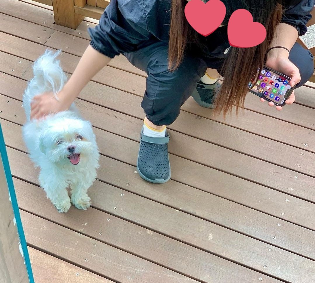 Hobbang_0's tweet photo. 호빵이 미용 트라우마 싹 고쳐주신 쌤이 2년 동안 휴식기 가지시다 컴백하셨다🙊 쌤 따라서 샵을 옮겼는데 테라스가 넓어서 산책하듯이 놀다가 들어가니까 스트레스도 더 안 받는 거 같다🙂 영상은 쌤 스토리에 올라왔길래 훔쳐왔음ㅋㅋㅋㅋㅋ2년만에 최애 선생님 만나서 기분 좋아 보이는 꼬질이💛 https://t.co/DU3B5axmDA