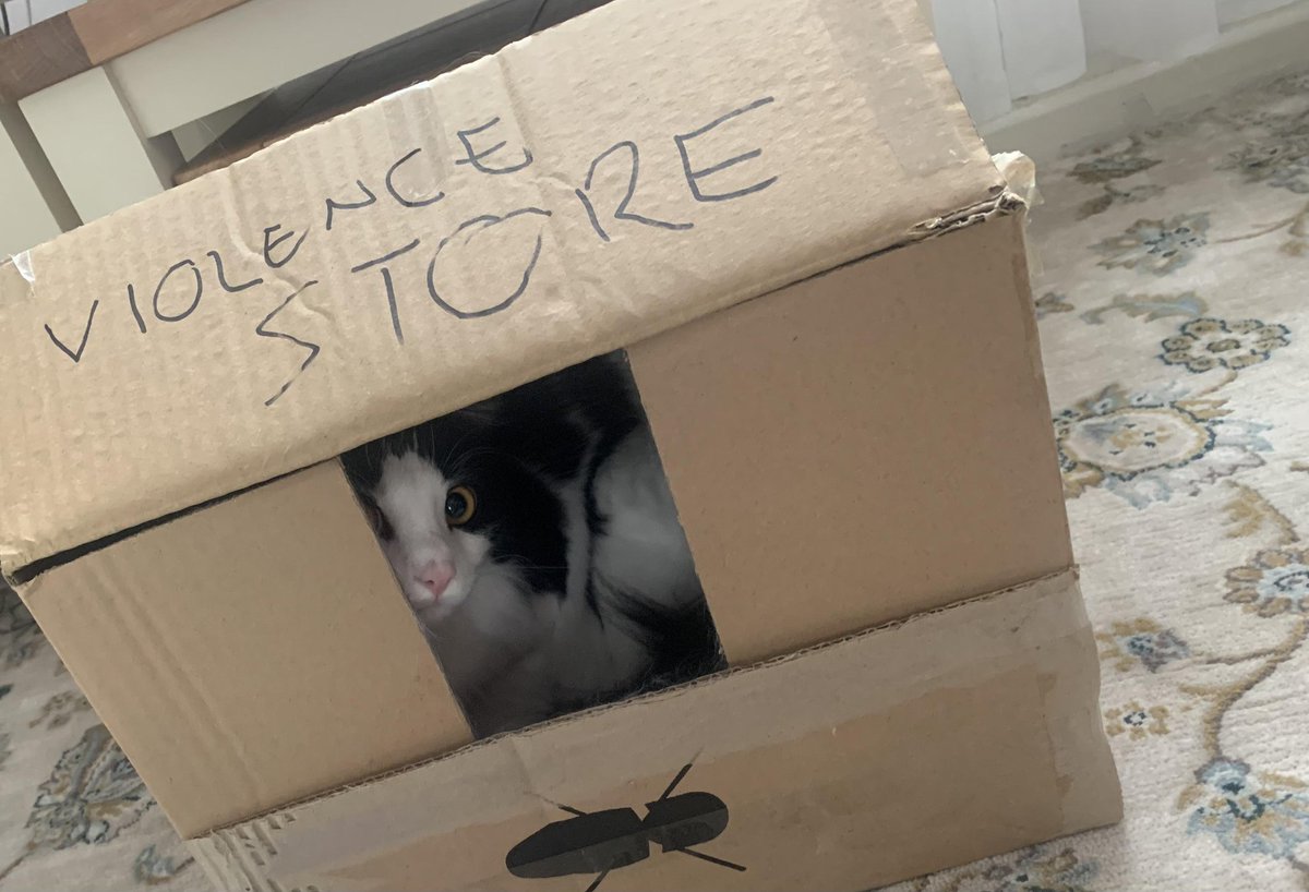 cats being weird little guys 👅 tweet media