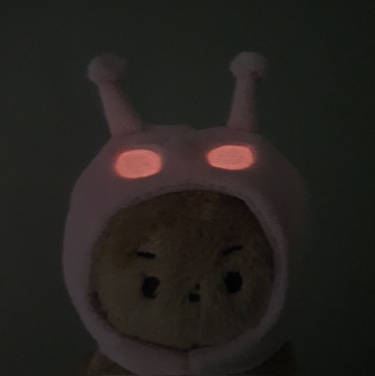 지이이.... ✨
                                        ˗ˋˏ  팟칭  ˎˊ˗