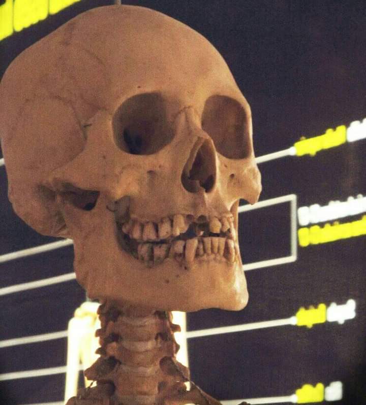 GabrielLvasquez's tweet photo. 💀 https://t.co/0yTTClVHst