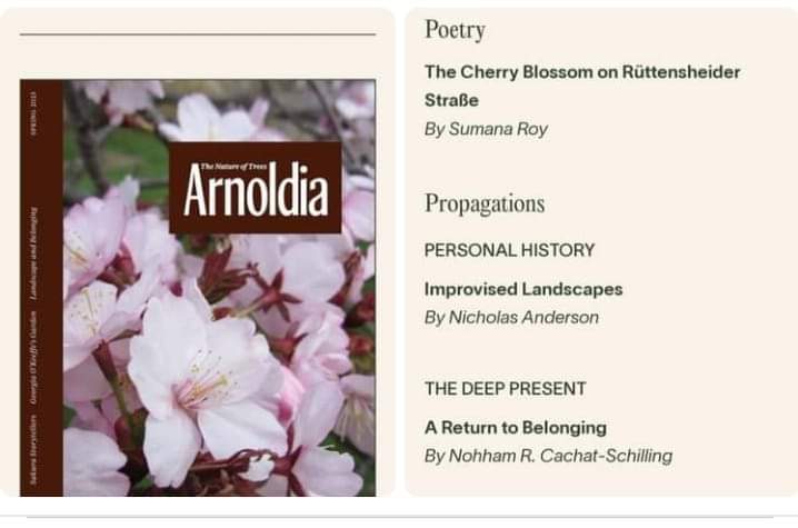 I have a poem, THE CHERRY BLOSSOM ON RUTTENSCHEIDER STRAßE, in the spring issue of <a href="/ArnoldiaMag/">Arnoldia: The Nature of Trees</a> , a magazine on plant life published by Harvard University since 1911. 

arboretum.harvard.edu/arnoldia/arnol…