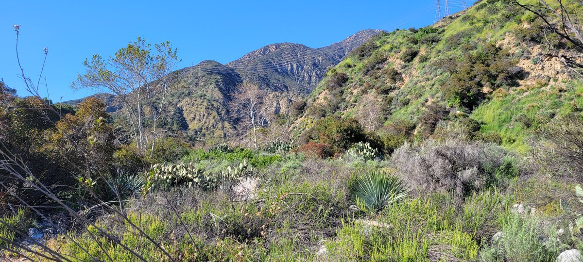 Edgar McGregor tweet media