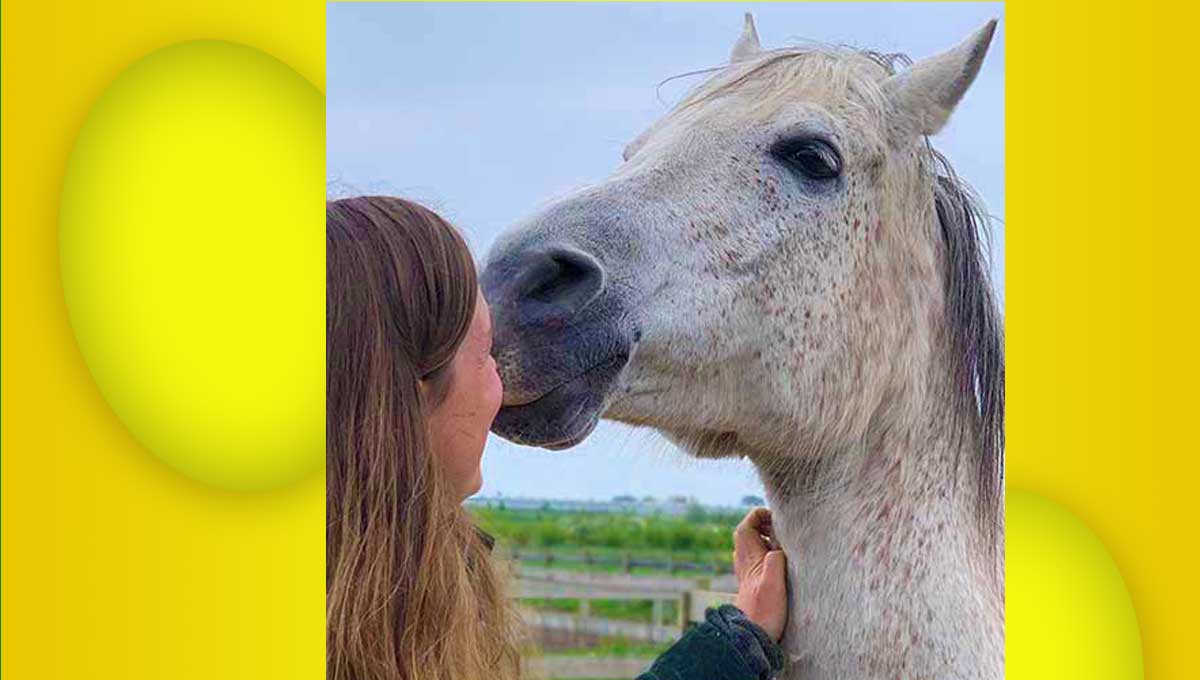 Keulseweg's tweet photo. Wat Amerikaanse veteranen leren van volbloed ex-racepaarden
https://t.co/PBZCjOz0TK
#keulseweg #pasen #paardencoaching #equineassistedcoaching #equineassistedtherapy https://t.co/i7oWYYYJUS