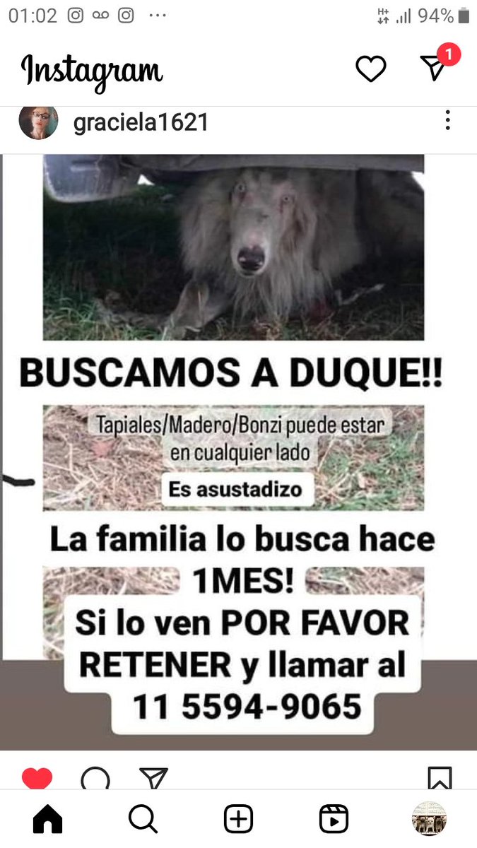 ComoNoAdorarlos's tweet photo. DUQUE😥 SE PERDIÓ EN TAPIALES / MADERO /  BONZI ⚠️🆘️🙏🙏👇👇📱1155949065 https://t.co/SWKO0itgGB
