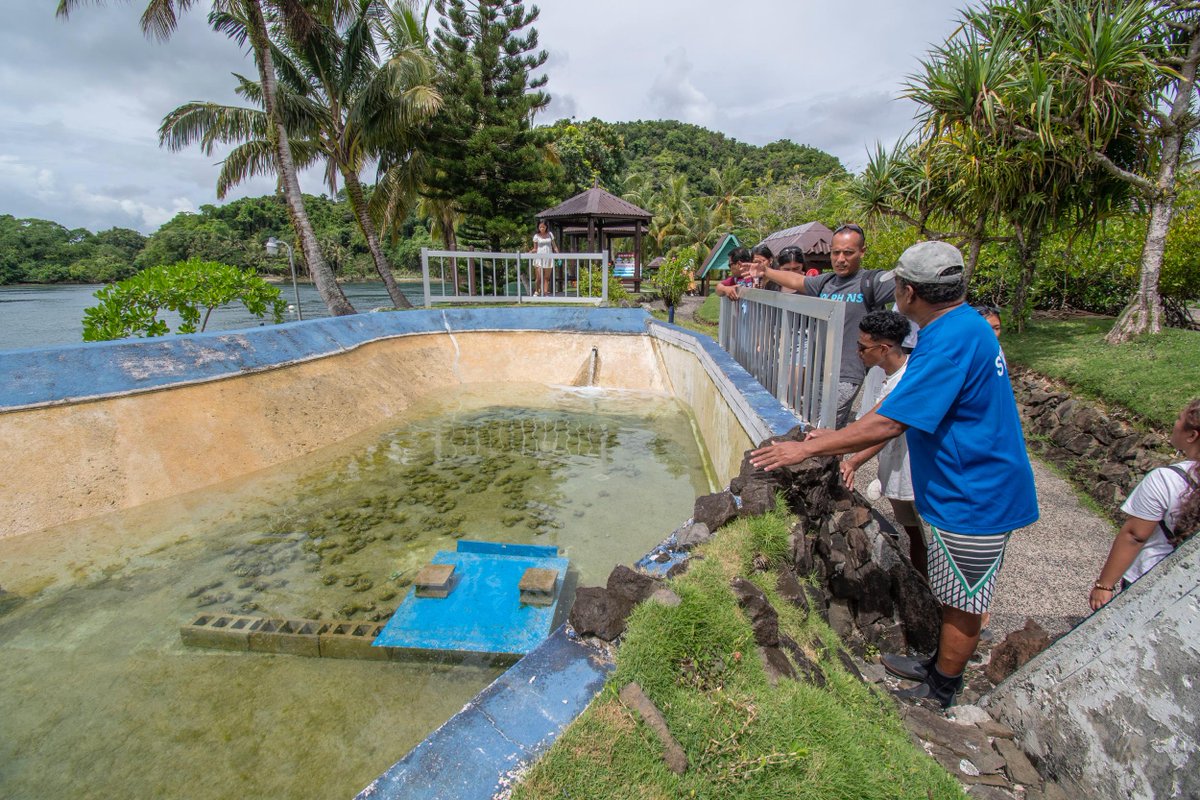 It was great to have the students from Pohnpei Seventh-Day Adventist School visit the Palau Aquarium! We hope you’ve enjoyed your time in Palau!

#AquariumTours #NatureTours #OceanLiteracy #ThinkOcean
#NatureForAll