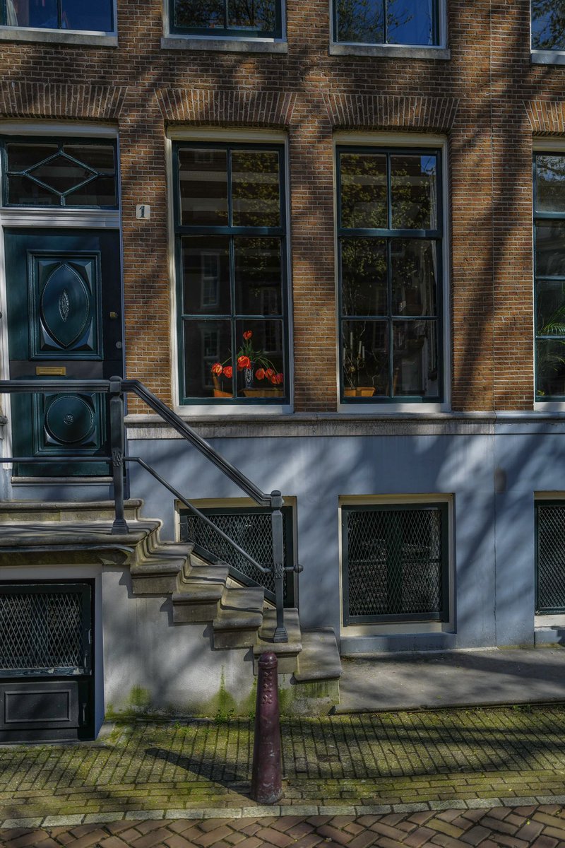 RomasFoord's tweet photo. Tulips in Amsterdam. 🌷 https://t.co/ohvLBiUzGD