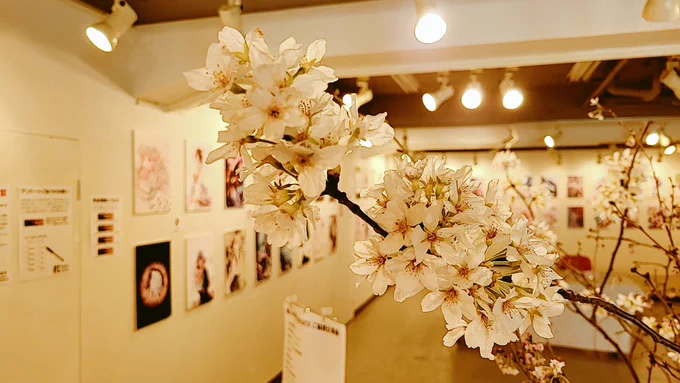 会場行ってまいりました!
お世話になっている編集さんにも来ていただきましたのぬよー🌸 楽しんでいただけました!

 #桜ex2023 