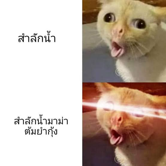 🪿nาenศ tweet media