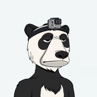 So the OKB headcams floor is that thin? 👀 

So happy I sniped this Panda headcam 🤍🖤

#OkayBears #WAGBO