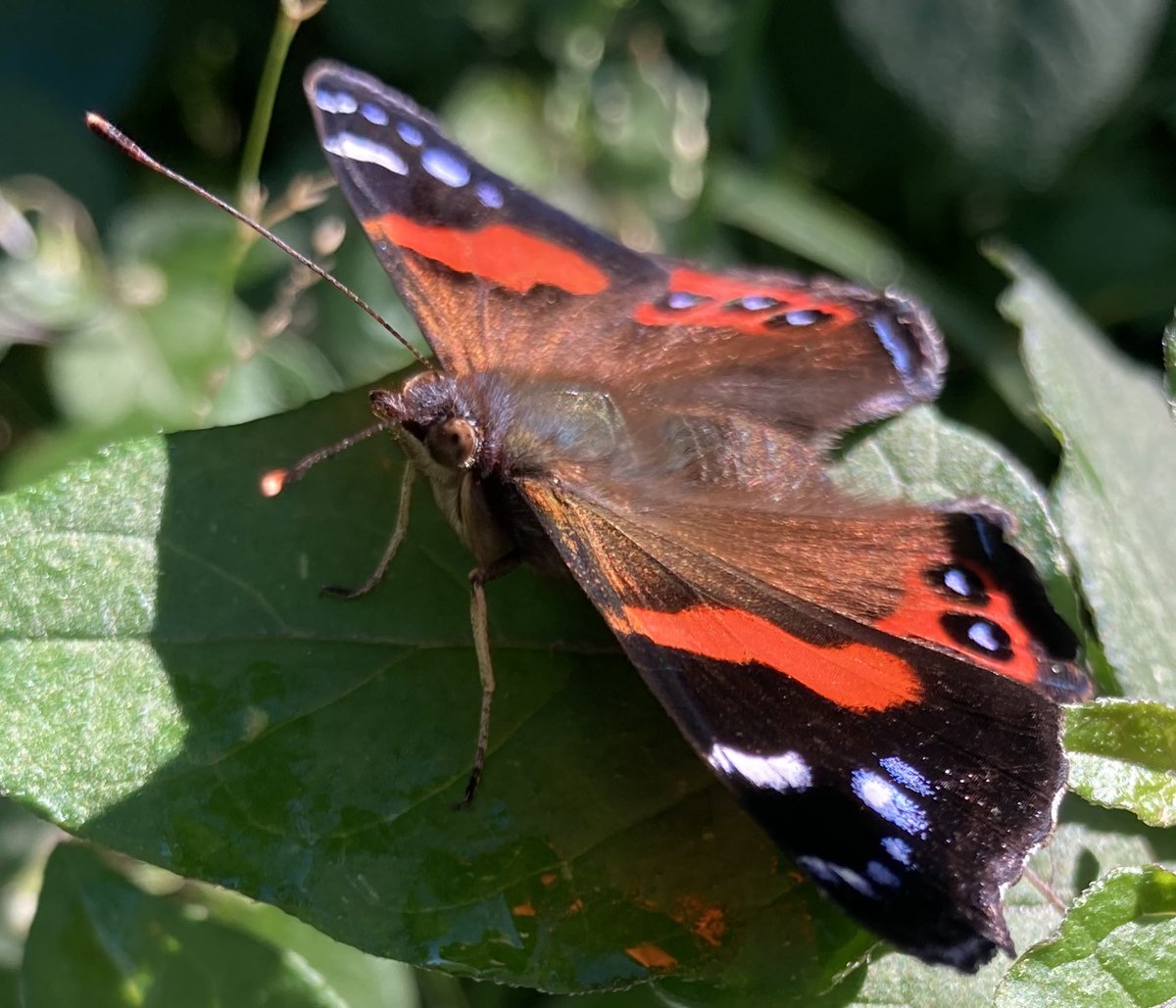 Cooper French tweet media