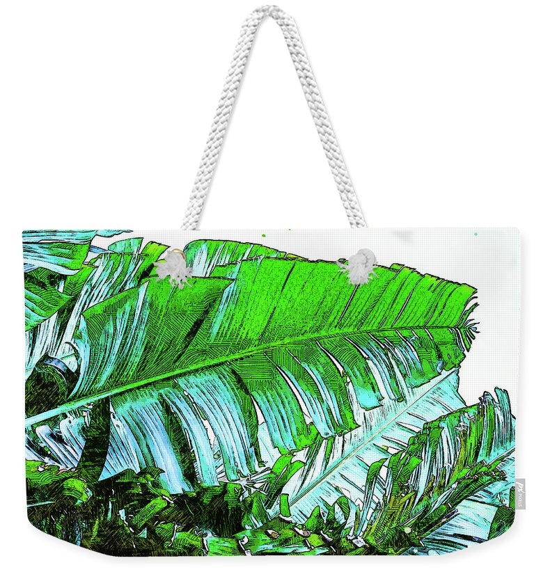 Tote Bags for the beach and all that important stuff!
👇#SharePamsArt👇
3-pamela-williams.pixels.com/featured/palm-…

#TheArtDistrict #AYearForArt #BuyIntoArt #GiftIdea #art #homedecor #wallart 
 #totebag #bag #handbag #slingbag #shoulderbag #handbags #tropical #green #palms #beachbag #beachlover