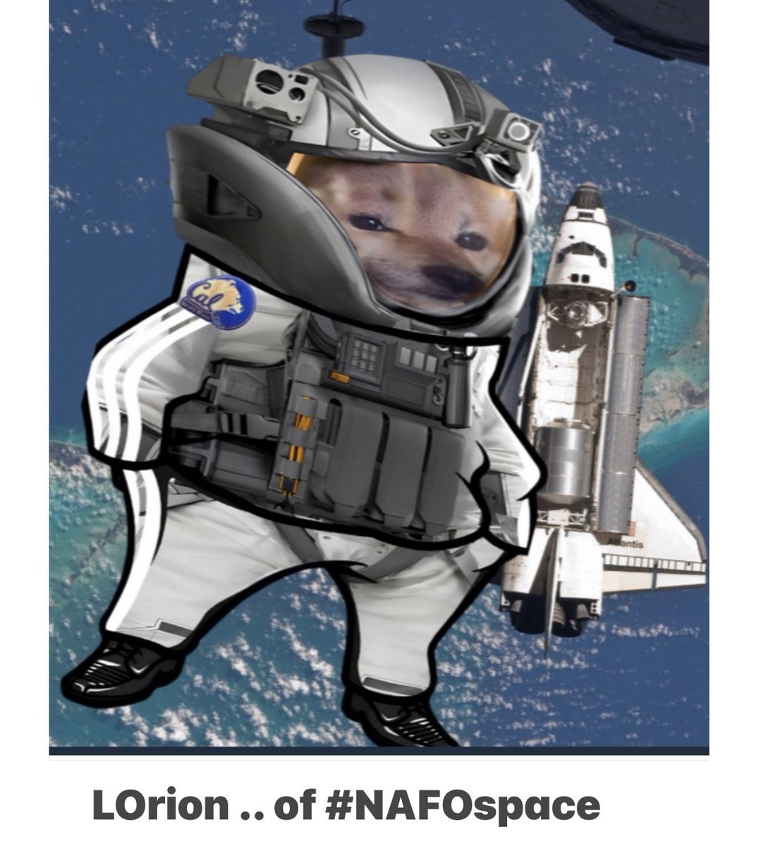 LOrion's tweet photo. @JoohnChoe @FiddleFella Hubby doesn’t like ELON doggie attempt at hacking his Twitter. Online.. I DONT See it on iOS.
But maybe I can help .. I am a #NAFOfellas .. #spacedivision https://t.co/PIqyQ3OJoX