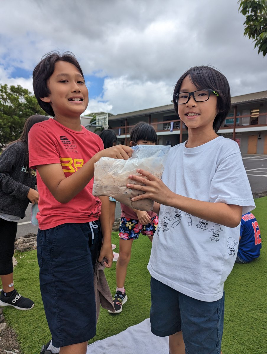 HMSDolphinsNow's tweet image. #ThirdGrade read a story called &quot;Cocoa Ice&quot; by Diana Karter Appelbaum.  A student in one class brought in cocoa pods that grow in her backyard and another class made chocolate ice cream!
#CocoaIce