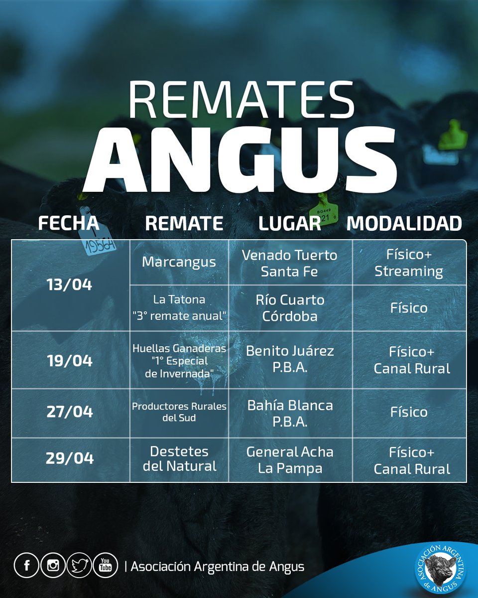 Angus Argentina tweet media