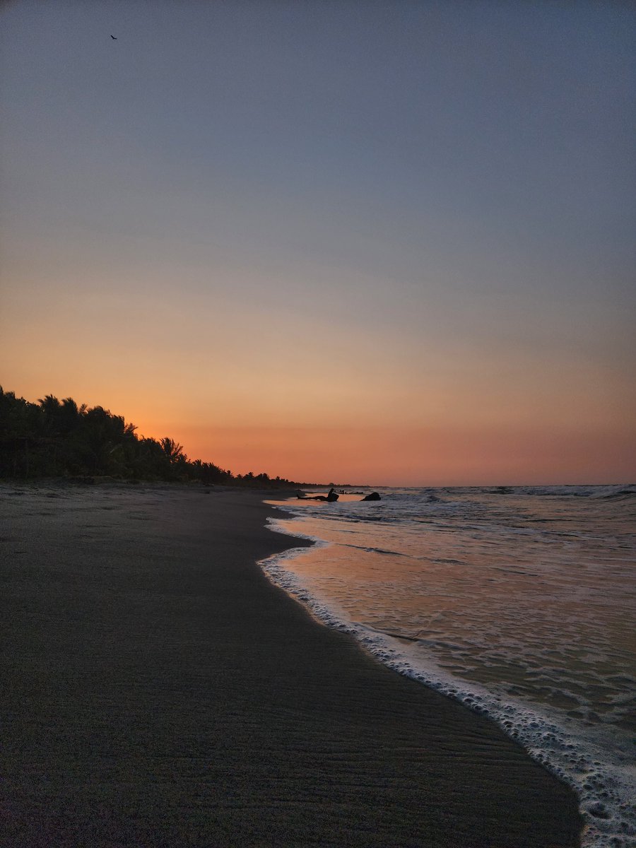 Eduardo Nazar on Twitter