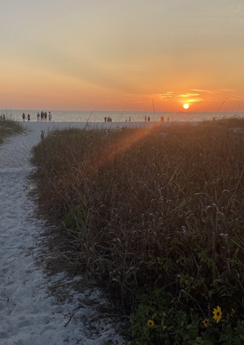 Island Unique tweet media