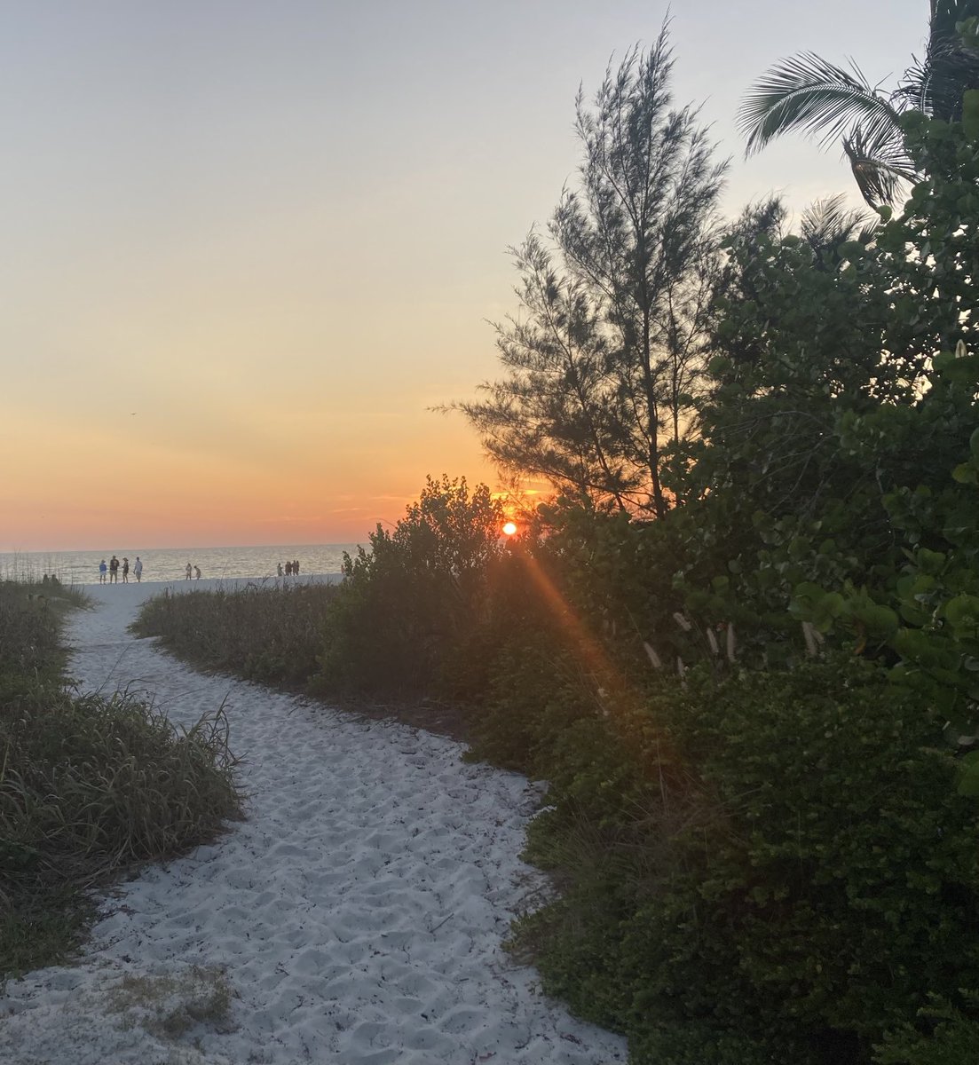 Island Unique tweet media