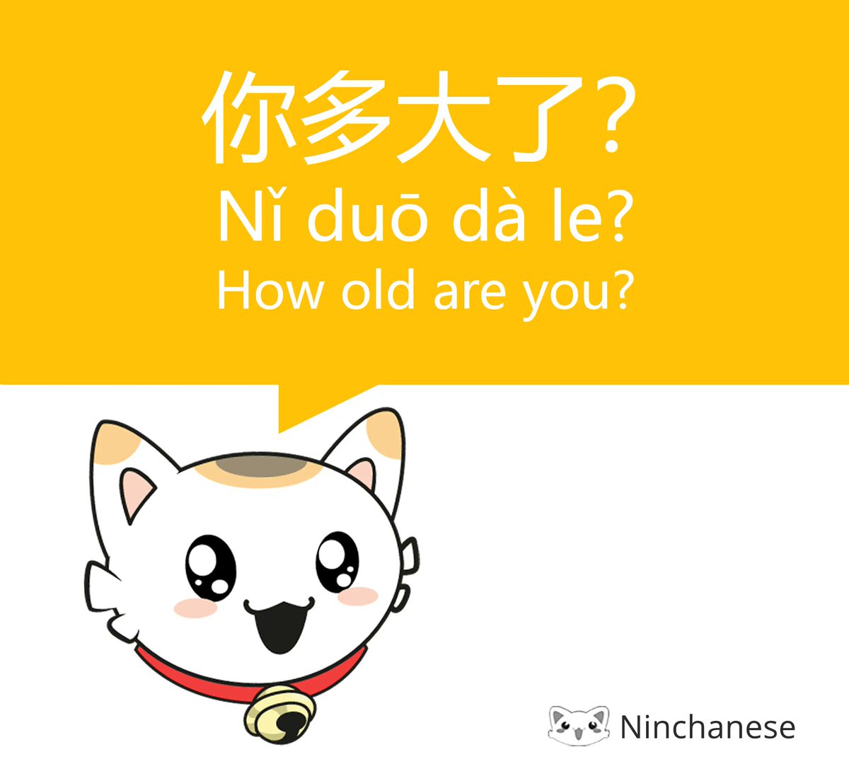 🎂 Ask someone's age in Chinese with this purrfect phrase:

你多大了？
Nǐ duō dà le?
How old are you?

Give it a try and make fur-iends! 😸🐾 Ninchanese makes learning Chinese fun and engaging! 🌟🏆

#LearnChinese #china #chinese #chineseculture #learnmandarin #chineselessons