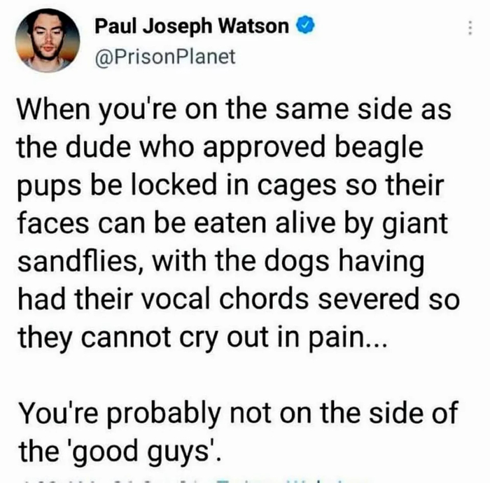 VincentCiofani's tweet image. Our#JoyOfTheLord lies in the fact that these monsters &amp;amp; their companies &amp;amp; profits and families are now #Cursed &amp;amp; they'll all die to be #Timelooped as these #Puppies b4 their #2ndDeath #SpititualExecution #Phanomization to #nevergetborn in the next timeline after this 1 is undone