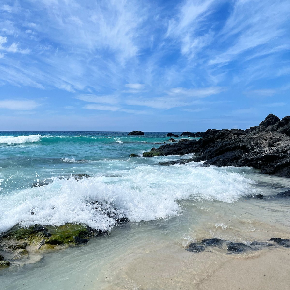 Boarding Pass tweet media