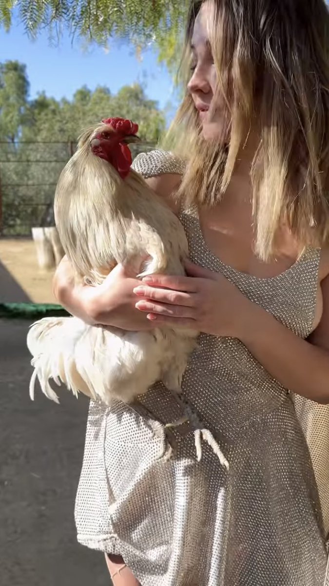 arabmadelynclin's tweet image. ✿ |صور لمادلين كلاين عبر ستوري ستيلا 🫶🏻

-⭐️
⌠ @madelyncline ⌡
• #madelyn , #maddie •