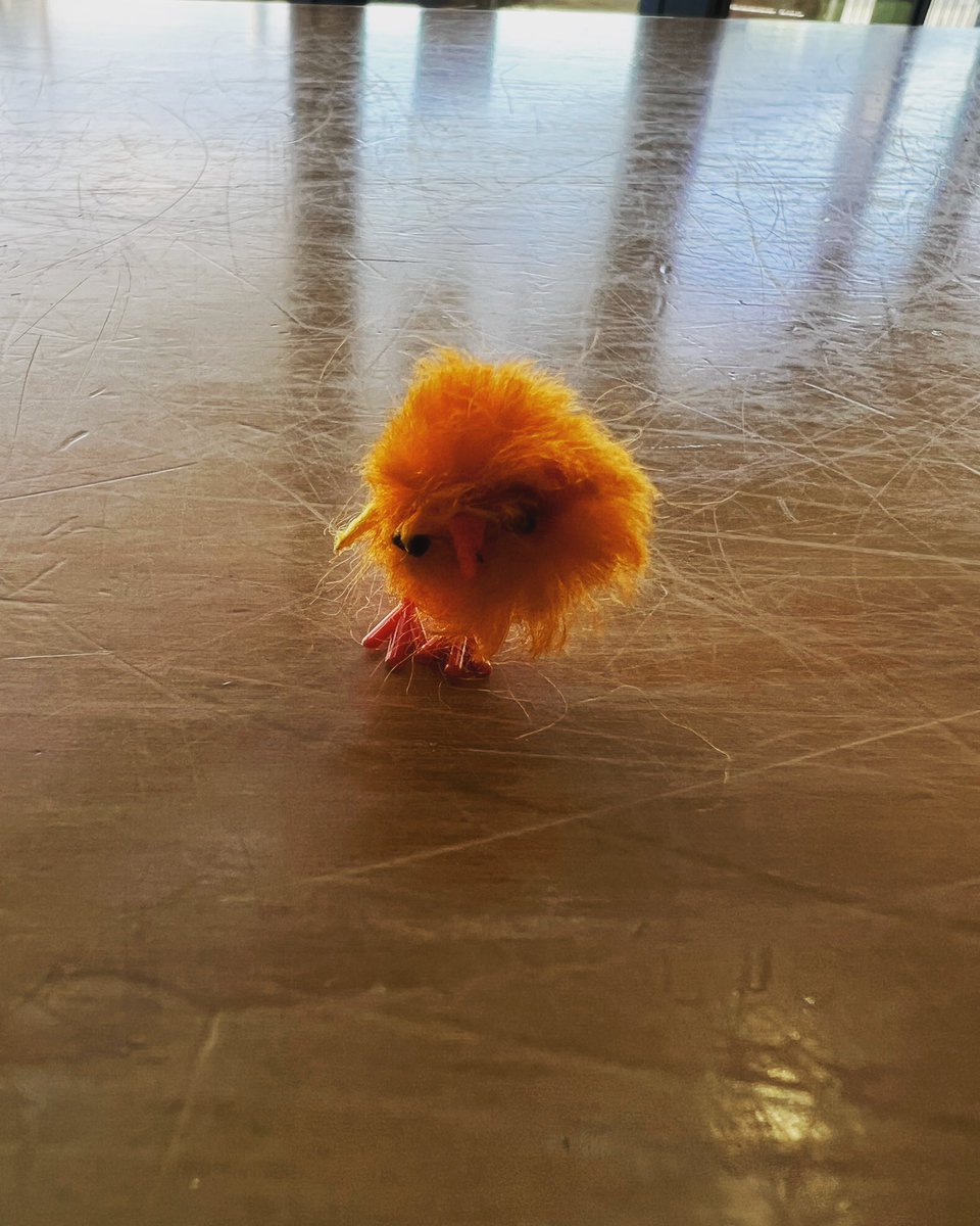 candicefoxbooks's tweet image. It’s the day! #publicationday #firewithfire #candicefox