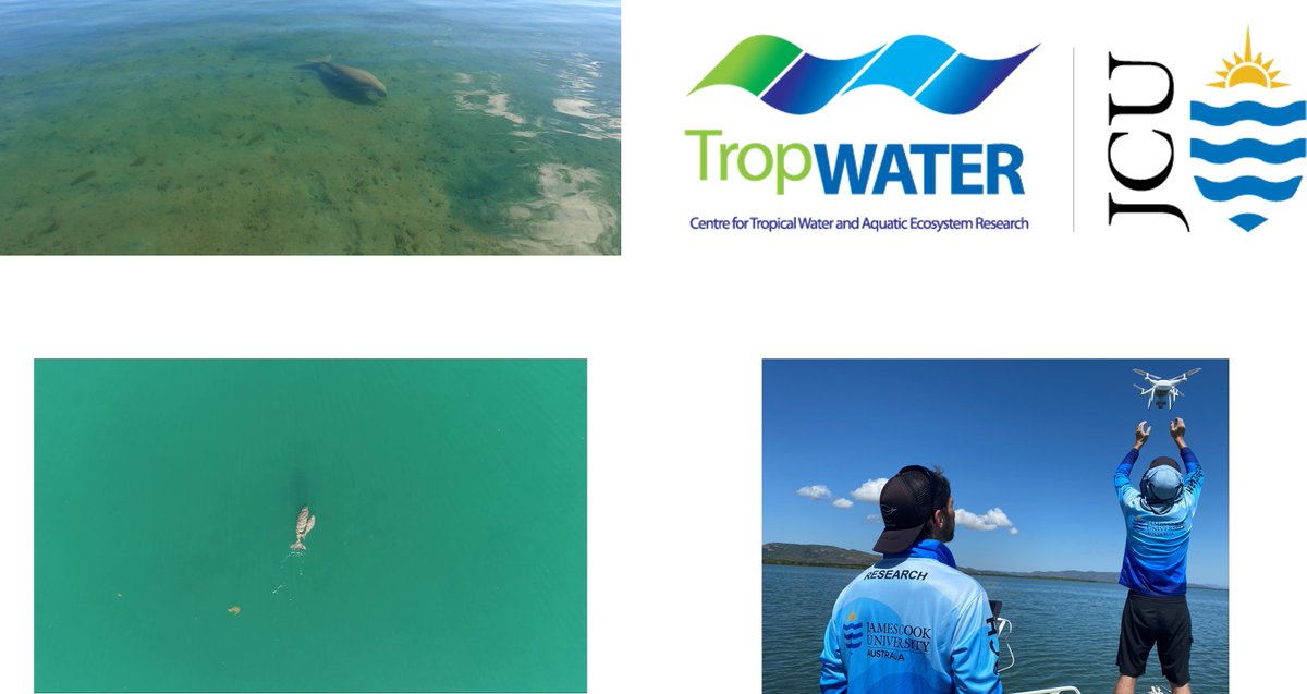 #PhD scholarship available on the use of small #drones to assess the body condition of #dugongs. Based in Townsville, QLD, Australia. Details here: tropwater.com/news/phd-dugon… @jcu @CCleguer @FChristiansen83 @TropWATER @AarhusUni_int Apply by 25 April