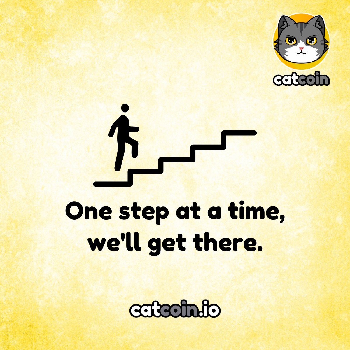 Official Catcoin tweet media