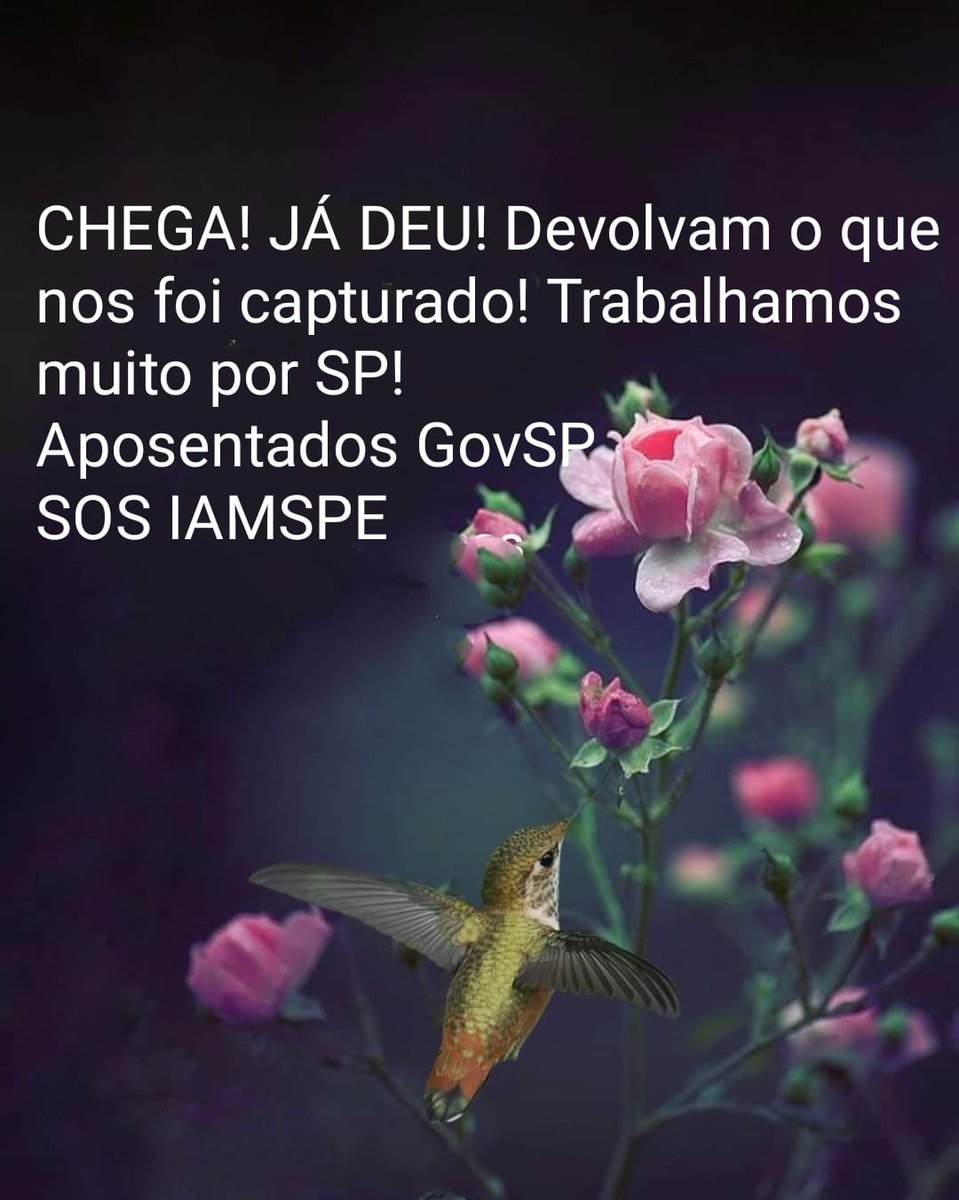 Maria de Lourdes da Silva tweet media
