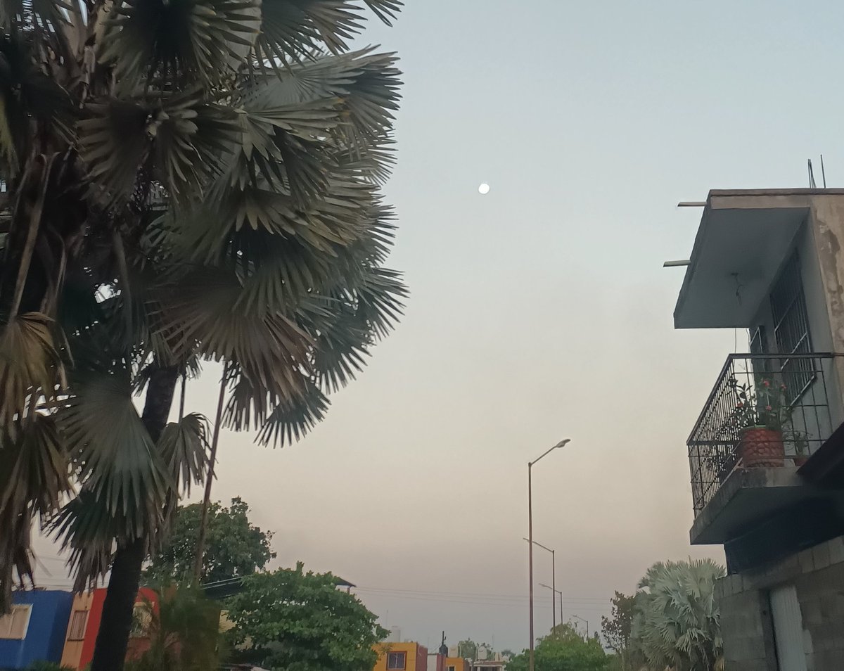 noticiastxt's tweet photo. 632 p.m y la luna ya está en su apogeo https://t.co/kZbQez8mii