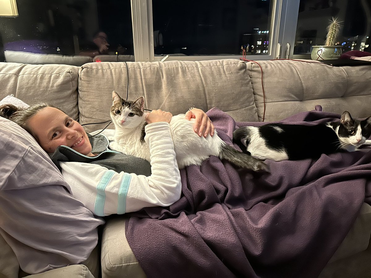 meepsandsqueeky's tweet photo. Because #cats. https://t.co/A8UA1AuSgd