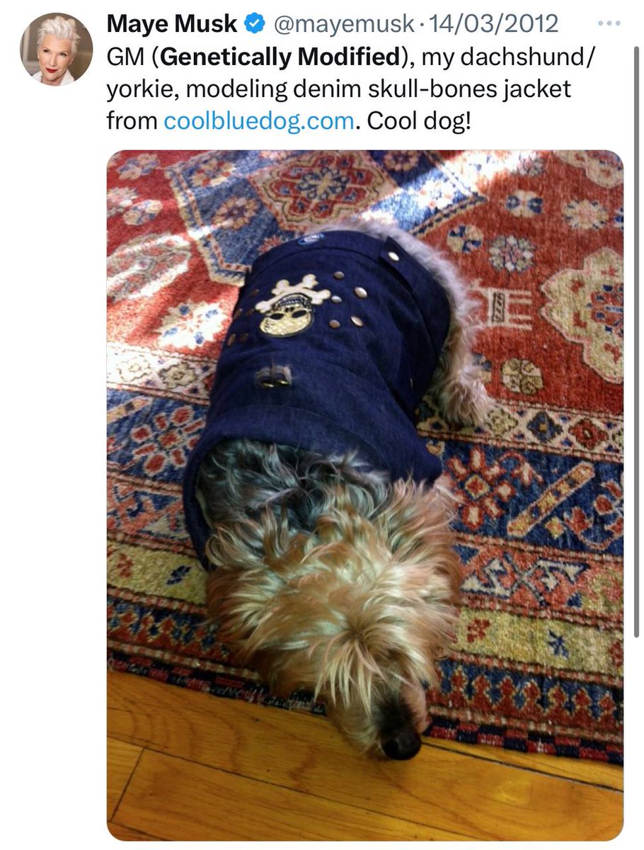 Nothing better than $GM rocking his Skull $BONE jacket !

x.com/mayemusk/statu…

<a href="/cryptoskullx/">CryptoSkull 💀 ze last bull standing</a> vibe check