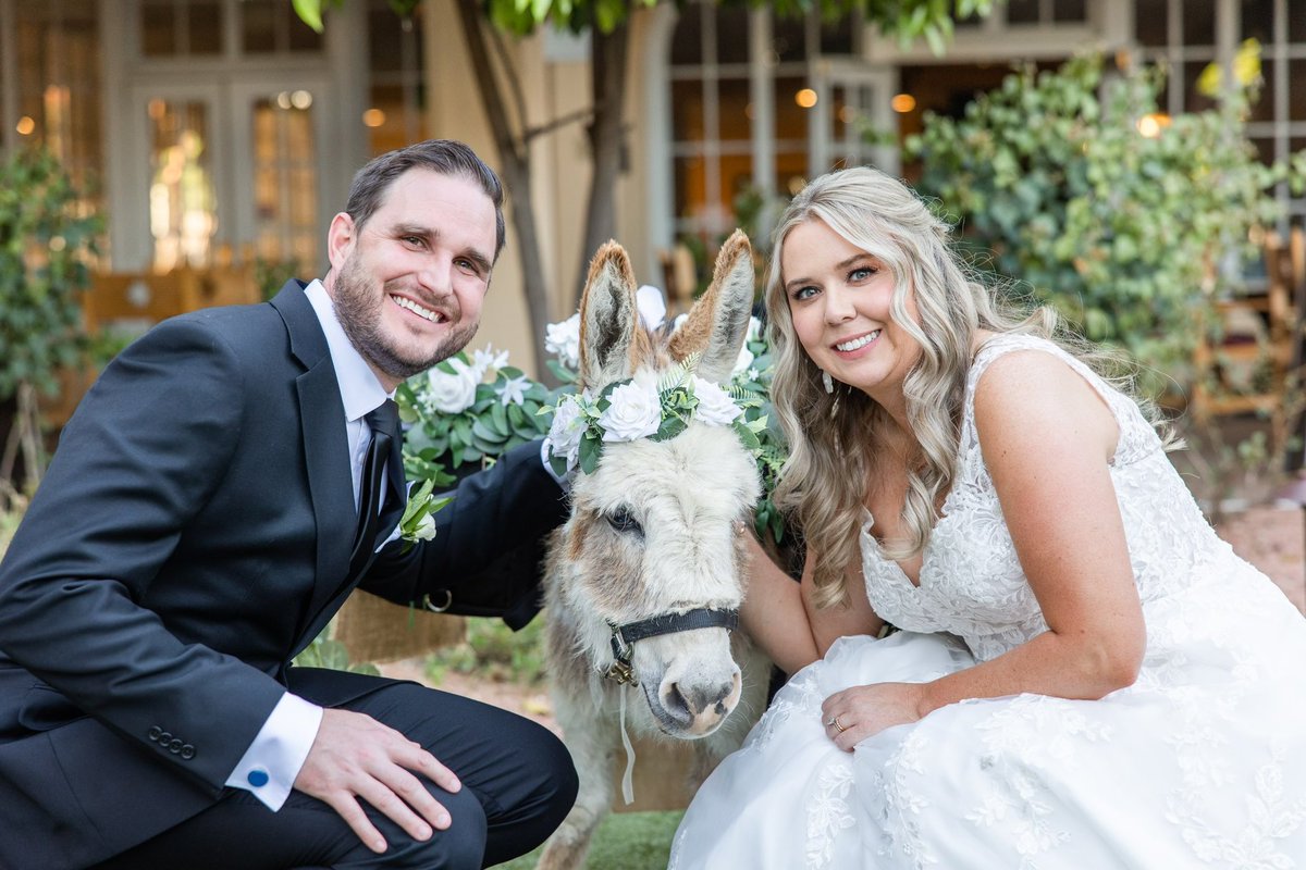 Dan Hawk tweet media