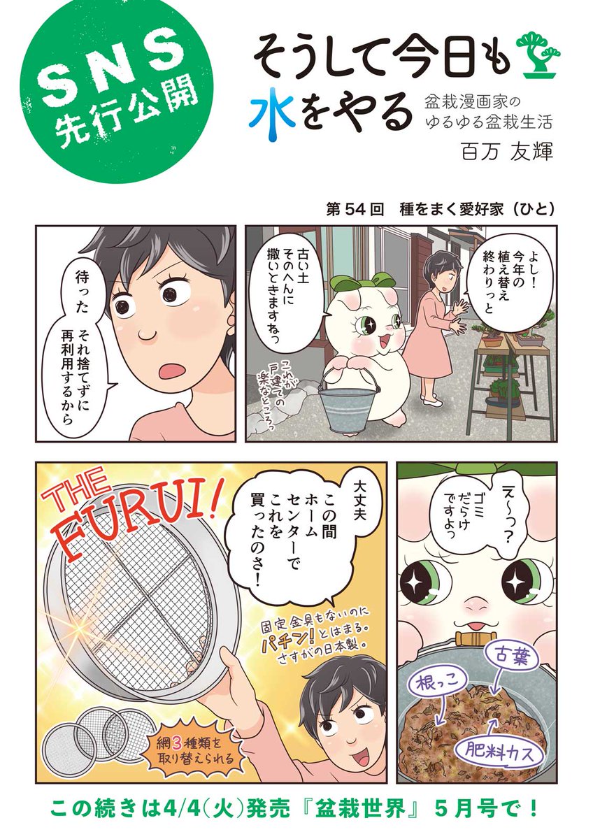 【盆栽世界5月号予告】 樹と共に暮らす生活を提案する盆栽専門誌『 #盆栽世界』最新号は4/4発売!
 今回の #水やる は実生。私の存命中に盆栽になるでしょうか…。
本誌メイン特集は「盆栽の殖やし方」。これ以上増やせない方は買うなよ?絶対に買うなよ!?(押すな押すな) #盆栽 #bonsai #水やる 