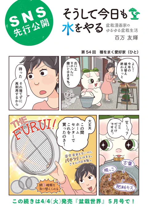 【盆栽世界5月号予告】 樹と共に暮らす生活を提案する盆栽専門誌『 #盆栽世界』最新号は4/4発売!
 今回の #水やる は実生。私の存命中に盆栽になるでしょうか…。
本誌メイン特集は「盆栽の殖やし方」。これ以上増やせない方は買うなよ?絶対に買うなよ!?(押すな押すな) #盆栽 #bonsai #水やる 