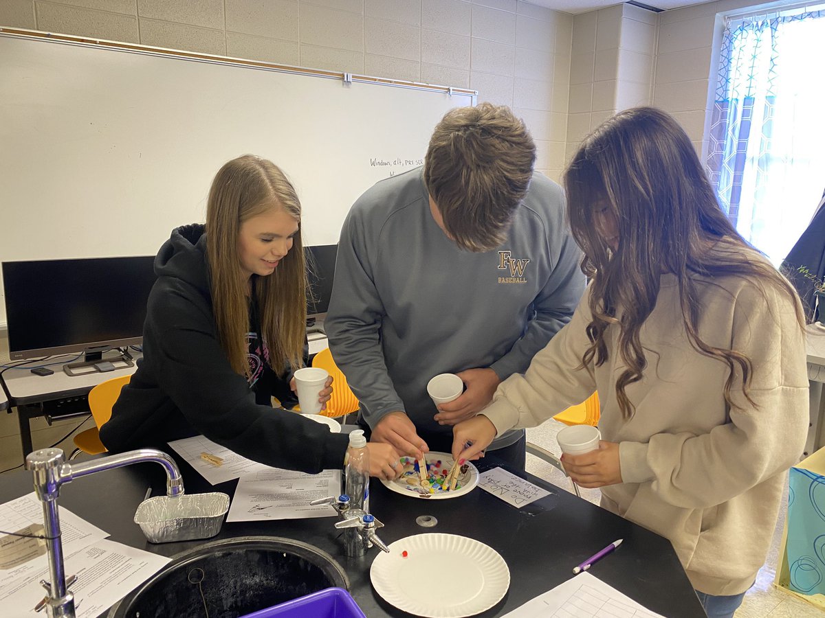 Igoscience's tweet photo. Beak lab -Adv. Bio students have many “beaks” to “feed” with to understand natural selection. https://t.co/7z2LCWop2I