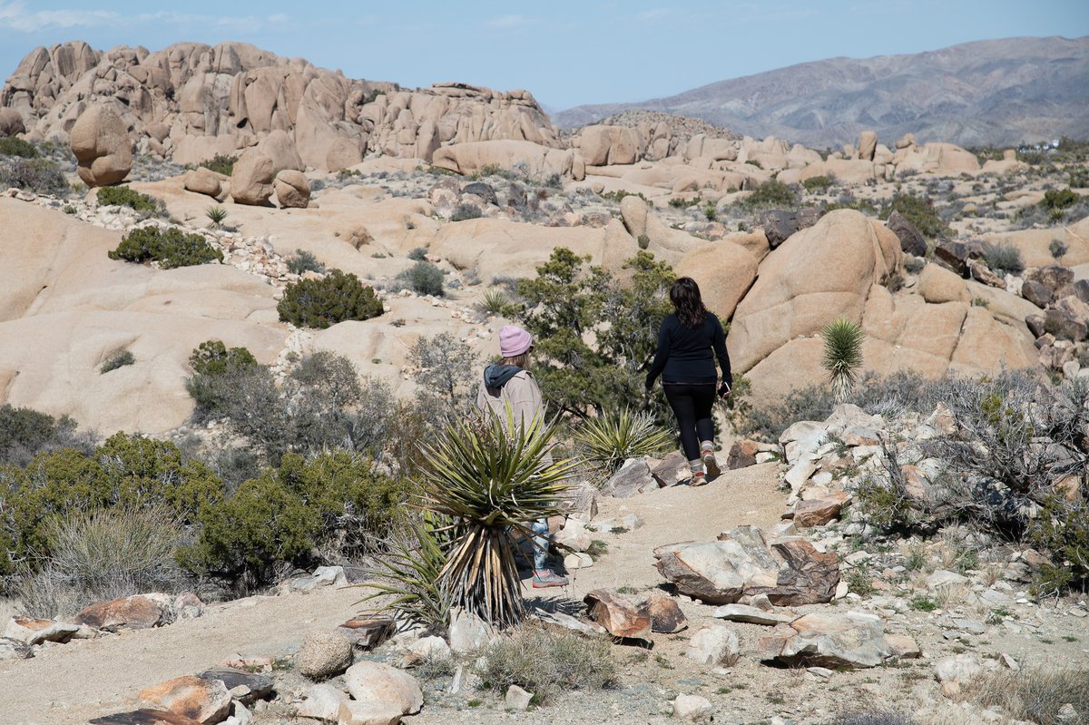 We should all spend a little more time outdoors ⛰️🌿

#Lifegrowsgreen #outdoor #outdoors #nature #natural #green #greenery #rock #rocks #wilderness #plant #adventure #hiking #leisure #fun #photography #photograph #photographer #cactus <a href="/RealChadPrice/">Chad Price</a> <a href="/bsnscnslt/">BusinessConsultant</a>