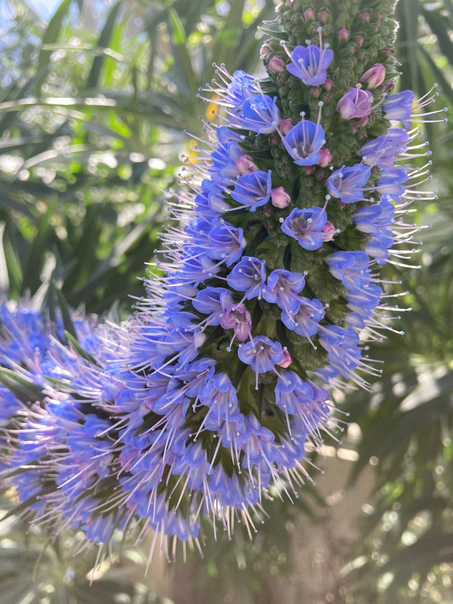 Ann Margaret Lyons tweet media