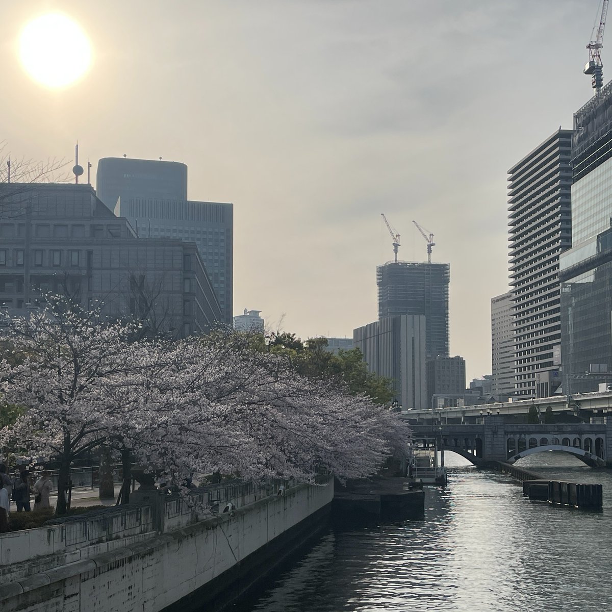 おはようございます！大阪市は気持ちの良い青空です☀️

この前、夕暮れ時に川沿いの桜を観ました。
新緑のグリーンと桜のピンクが混ざり合ってとても綺麗です☺️🎀

季節の移ろいを五感で感じて春を満喫しましょう♪

#企業公式が毎朝地元の天気を言いあう 
#企業公式春のフォロー祭り